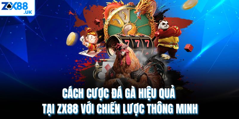 Cách Cược Đá Gà Hiệu Quả Tại Zx88 Với Chiến Lược Thông Minh