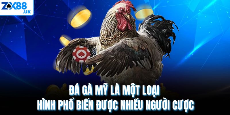 Đá gà Mỹ là một loại hình phổ biến được nhiều người cược