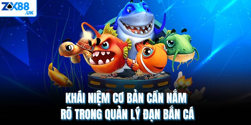 Khái niệm cơ bản cần nắm rõ trong quản lý đạn bắn cá