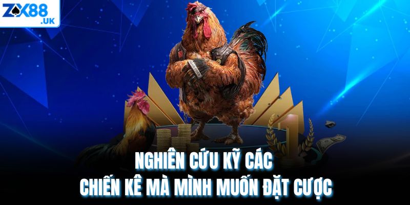 Nghiên cứu kỹ các chiến kê mà mình muốn đặt cược